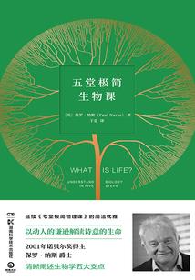 我作为系统的基本准则