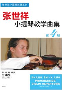 重生之诀少的神秘医妻