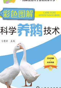玄天修真