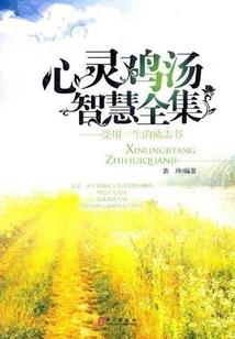 风起京华