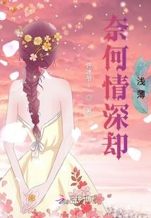 星宇枭客