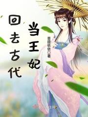 梦幻盗版系统