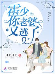 精灵族之崛起