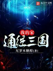 我陪你去看樱花