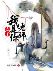 我的系统天天换