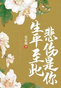 我的世界二十六守卫者第1部