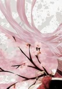 花落一千年