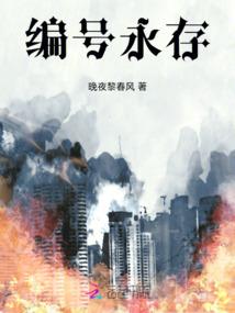夙愿流星火
