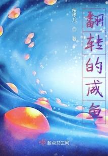 风行天下之人鱼传