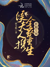 Fate卡片战争
