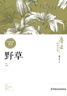 孤女天骄