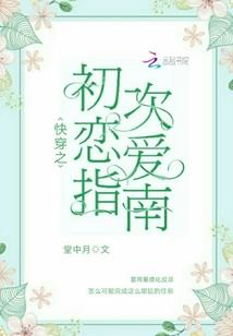 兽魂空间之凤凌霄汉