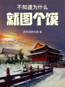 寒门憨婿
