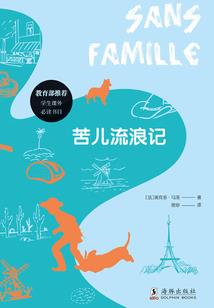 乱世巨枭