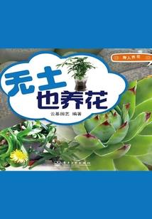 仙中奇缘