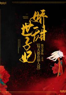 冰山王子的冷酷公主