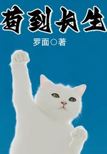 擒天之秘