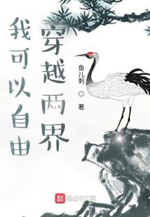 夜盗