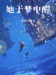 穿越网王赖上你