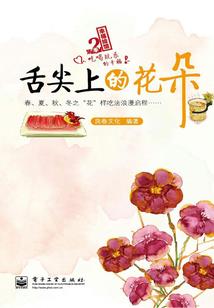 灵域丶叶城