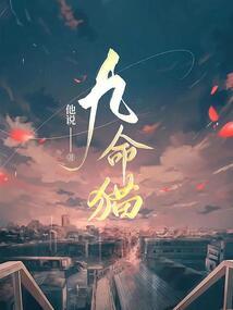 双谍记