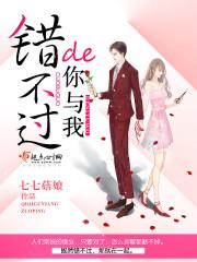 战甲精灵