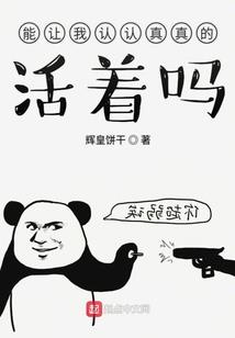瞎侠盗
