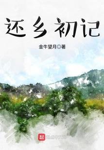 冲神领域