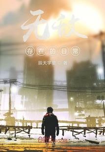 二次元全家桶