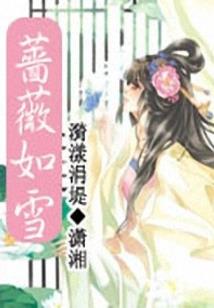 梦幻仙枕