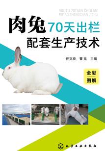 无尽岁月之契约
