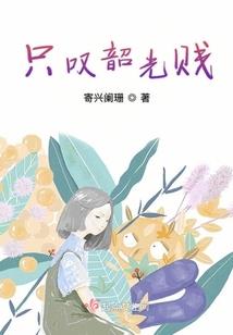 十笔流年忆长安
