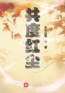 星夜之主