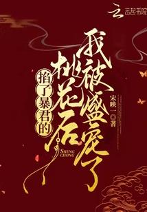 二次元的轮回者