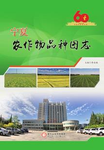 从火凤凰开始的崛起