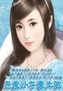 风中飞过流星泪