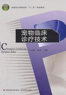 当她降临人间