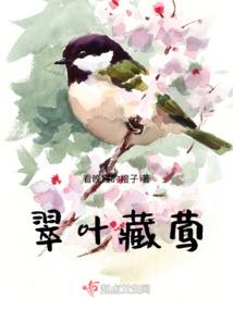 浪子之剑