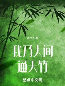 漫血白菊