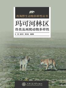 我塞西莉亚沙尼亚特回来了