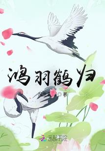 小白跟我走