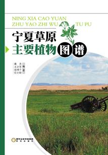 明月几时寒