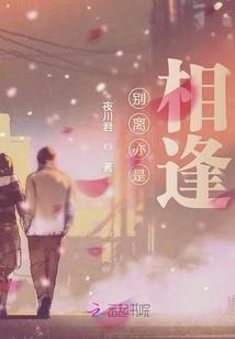 男女总裁龙凤斗