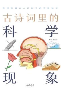 似识舞亿年