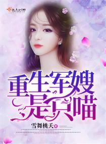 梦幻骑士英雄谭