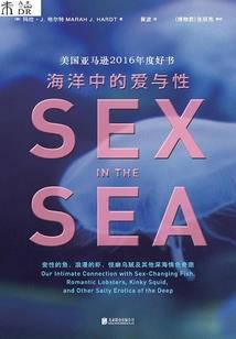 道红尘