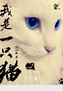 你好，阿Sir