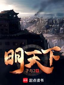 天启之绝世纵横