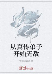 V家之V姬战纪
