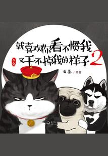 大厂历险记